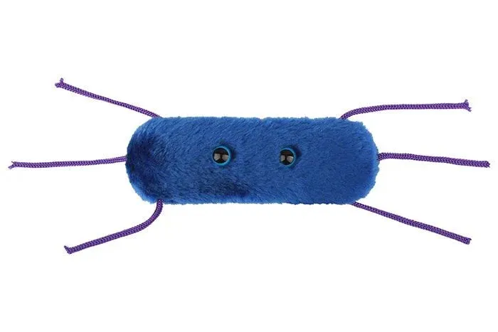 Listeria (Listeria monocytogenes) Giant Microbes Plush