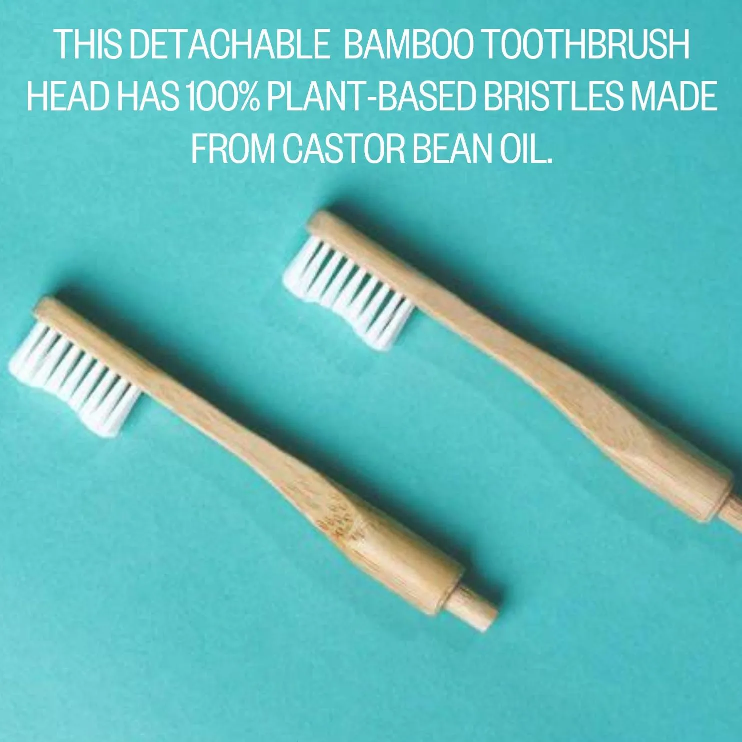 Replacement Toothbrush Head