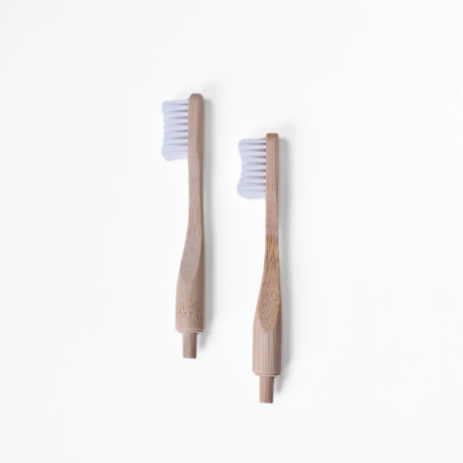 Replacement Toothbrush Head